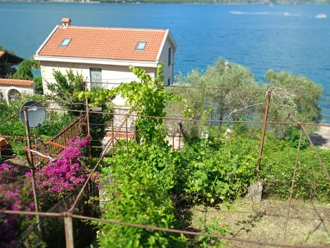 Prodaja, plac, 4614m², Donji Stoliv, Kotor - image 2