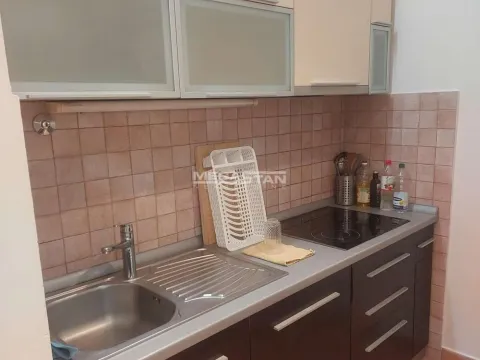 Izdavanje, četvorosoban stan, 156m², Vračar Centar, Vračar Sve Podlokacije - image 9