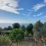 Prodaja, plac, 376m², Budva, Crna Gora - image 9