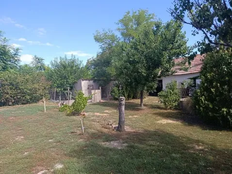 Pogled na prostrano zeleno dvorište sa drvećem i kućom u pozadini. - image 8