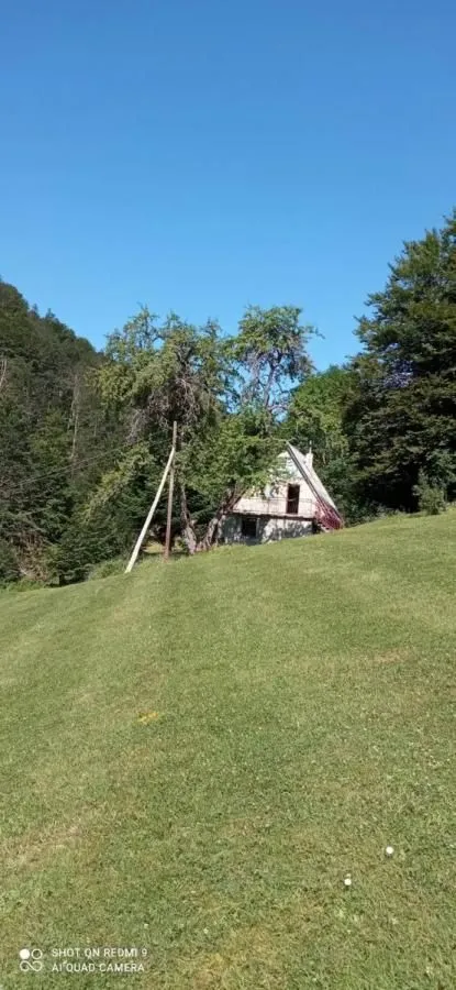 Prodaja, plac, 99100m², Donja Bukovica, Šavnik