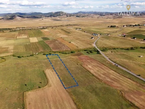 Pogled iz vazduha na zemljište sa ucrtanim granicama parcele i okolnim pejzažem. - image 3