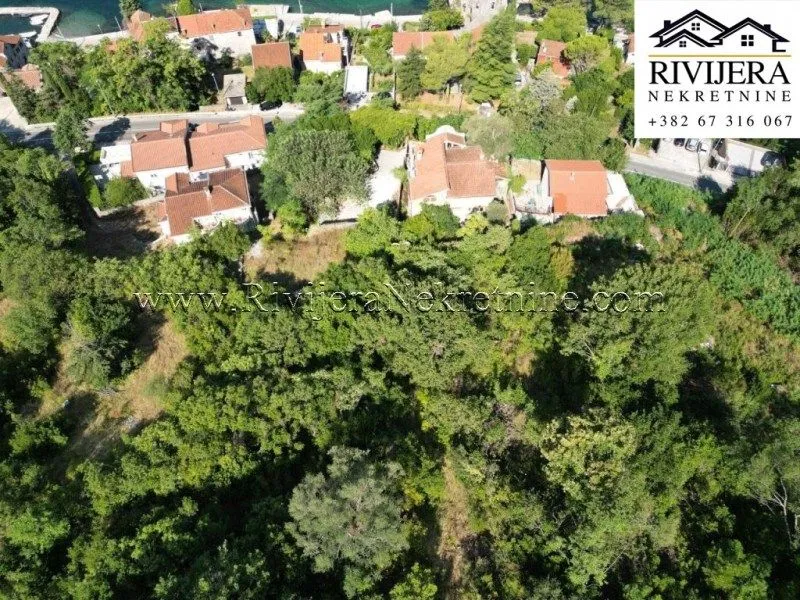 Prodaja, plac, 3610m², Dobrota, Kotor