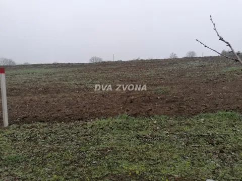 Prodaja, plac, 3300m², Novi Slankamen, Inđija - image 3