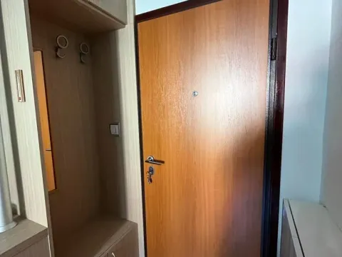 Prodaja, garsonjera, 19m², Zabjelo, Podgorica - image 7