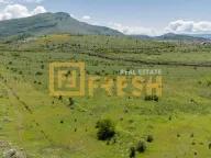 Sale, land lot, 116000m², Tuzi, Podgorica - image 6