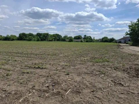 Sale, land lot, 268m², Čenej, Novi Sad Sve Podlokacije - image 5