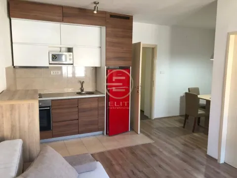 Izdavanje, jednosoban stan, 44m², Stari grad, Novi Sad - image 4