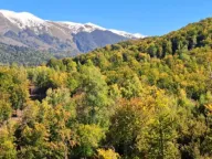 Sale, land lot, 89208m², Padež, Kolašin - image 7