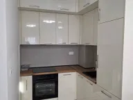 Izdavanje, jednosoban stan, 46m², Stari Aerodrom, Podgorica - image 4