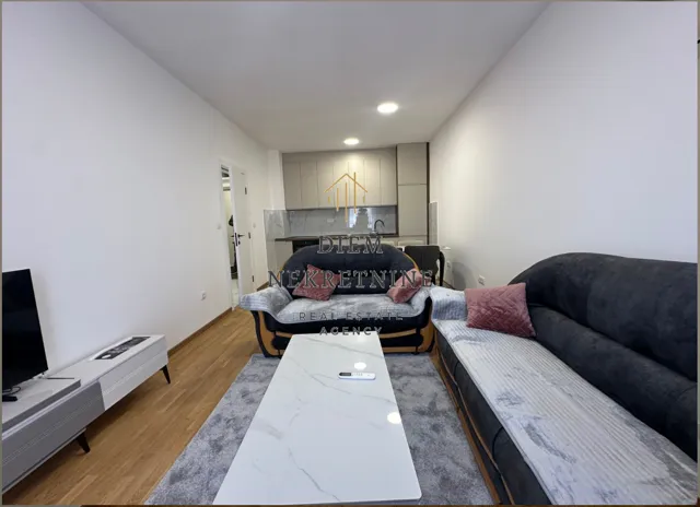 Rent, one bedroom apartment, 48m², Zabjelo, Podgorica
