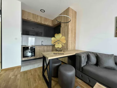 Izdavanje, jednosoban stan, 40m², Zabjelo, Podgorica - image 4