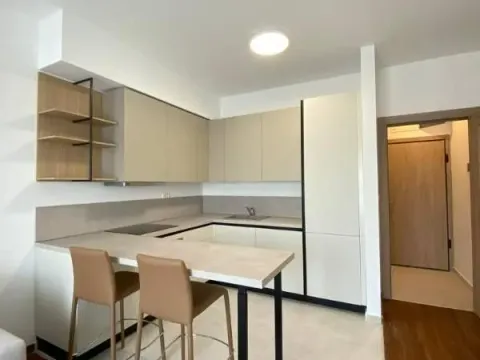 Izdavanje, dvosoban stan, 69m², Master Kvart, Podgorica - image 4