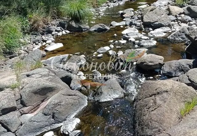 Prodaja, plac, 212100m², Divčibare, Valjevo