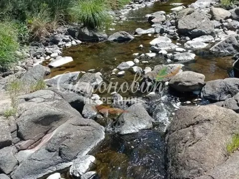 Sale, land lot, 212100m², Divčibare, Valjevo - image 3