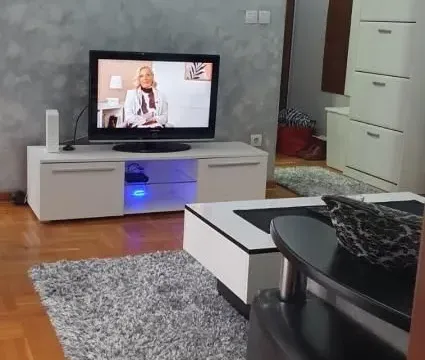 Izdavanje, dvosoban stan, 40m², Vračar Sve Podlokacije, Beograd - image 6