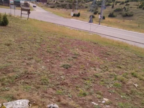 Prodaja, plac, 2800m², Žabljak, Crna Gora - image 2