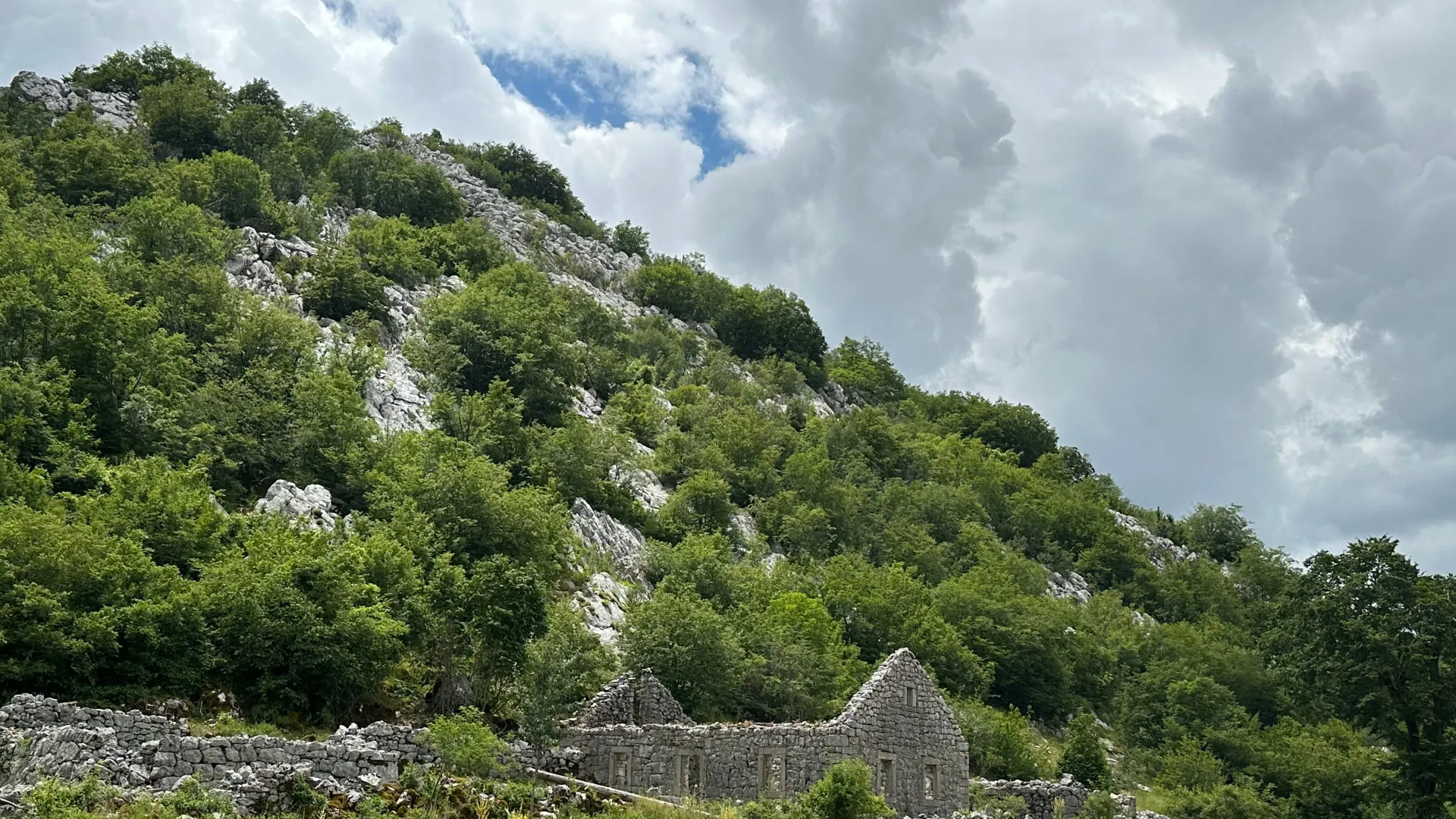 Prodaja, plac, 12000m², Grahovo, Nikšić