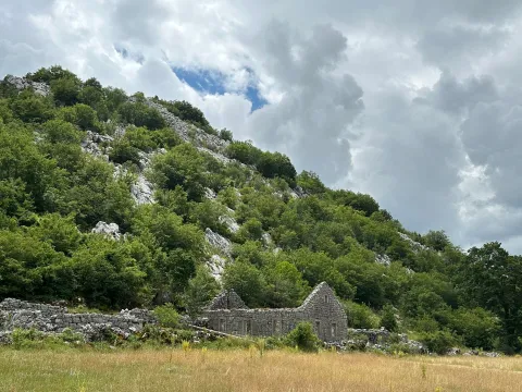 Prodaja, plac, 12000m², Grahovo, Nikšić - image 4