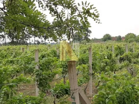 Sale, house, 230m², Srbobran, Novi Sad - image 22