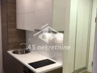 Izdavanje, dvosoban stan, 43m², Južni Bulevar, Vračar Sve Podlokacije - image 4