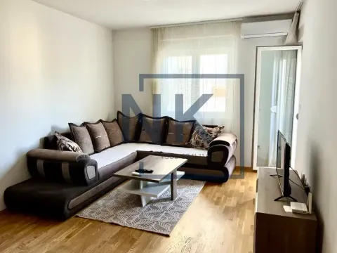 Rent, one bedroom apartment, 48m², Stari Aerodrom, Podgorica - image 1