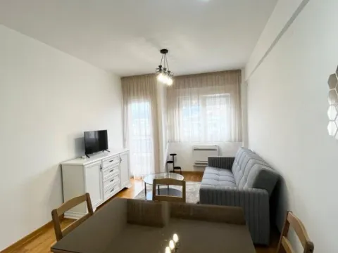Izdavanje, jednosoban stan, 45m², Zabjelo, Podgorica - image 3