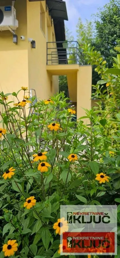 Izdavanje, jednosoban stan, 38m², Centar, Novi Sad