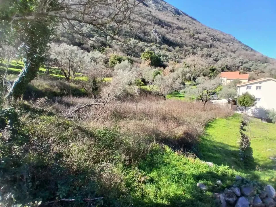 Prodaja, plac, 2400m², Stoliv, Kotor