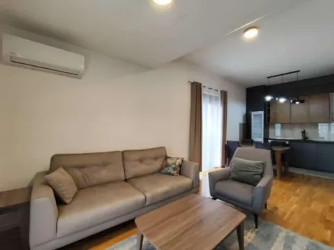 Izdavanje, jednosoban stan, 50m², Zabjelo, Podgorica - image 3