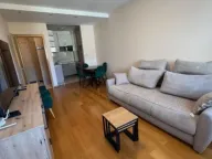 Rent, one bedroom apartment, 46m², Preko Morače, Podgorica - image 3