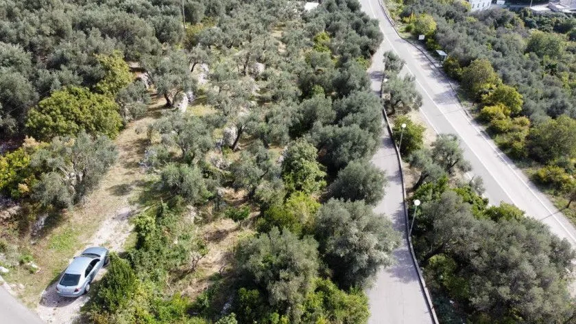 Prodaja, plac, 1700m², Reževići, Budva