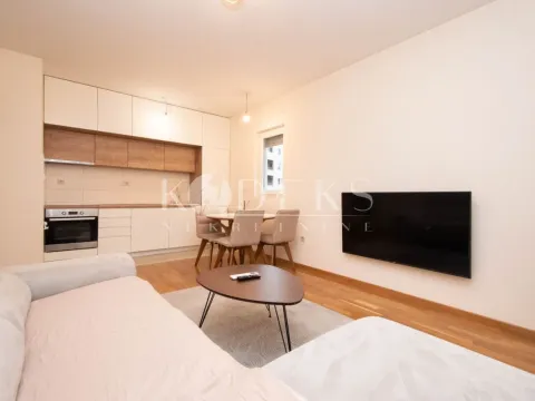 Izdavanje, dvosoban stan, 53m², Zabjelo, Podgorica - image 3