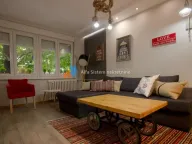 Izdavanje, dvosoban stan, 40m², Vračar Hram, Vračar Sve Podlokacije - image 3