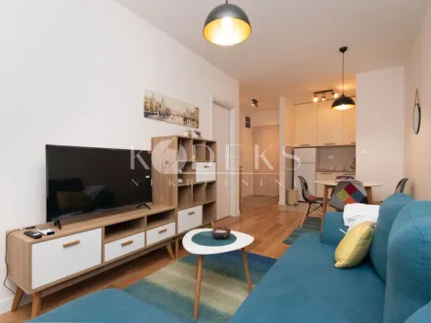 Izdavanje, jednosoban stan, 39m², Central Point, Podgorica - image 5