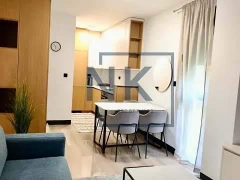 Rent, one bedroom apartment, 43m², Vezirov Most, Podgorica - image 2