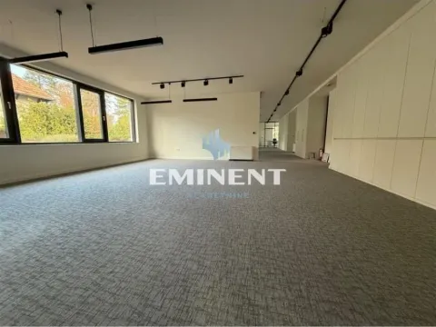Rent, office space, 295m², Savski Venac, Beograd - image 4