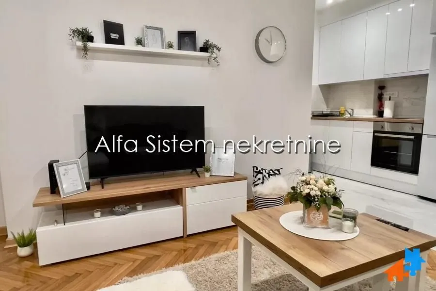 Izdavanje, dvosoban stan, 47m², Vračar Sve Podlokacije, Beograd