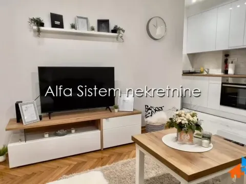 Izdavanje, dvosoban stan, 47m², Vračar Sve Podlokacije, Beograd - image 2