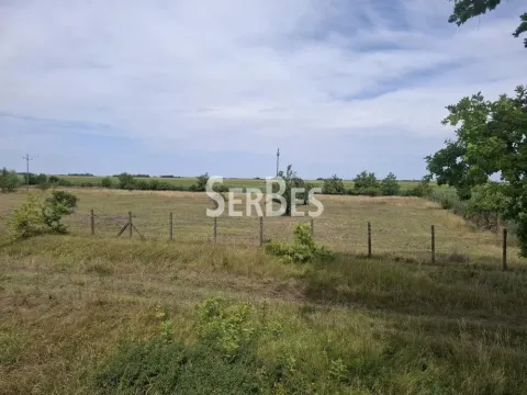 Prodaja, plac, 19197m², Čenej, Novi Sad Sve Podlokacije - image 3