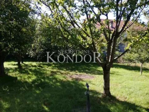 Izdavanje, poslovni prostor, 350m², Altina, Beograd - image 15