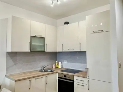 Izdavanje, jednosoban stan, 50m², Stari Aerodrom, Podgorica - image 3