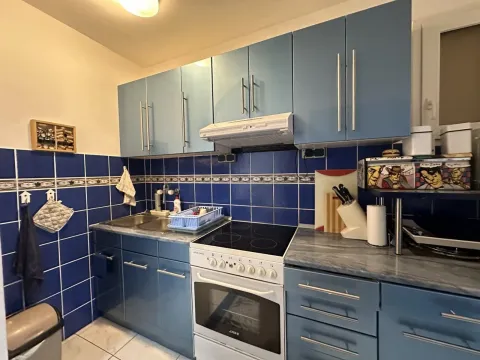 Kitchen with blue cabinets and a built-in cooktop. - image 9