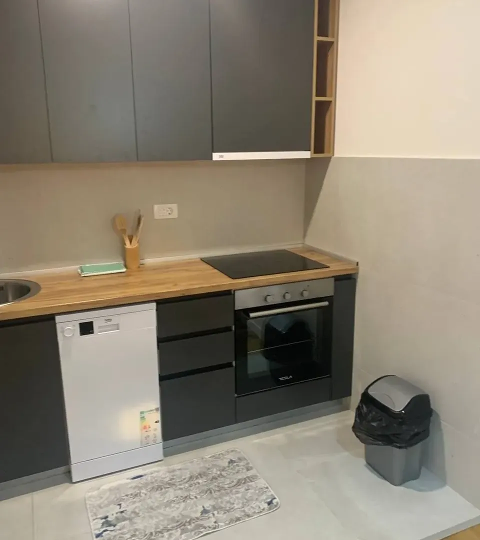 Izdavanje, jednosoban stan, 49m², Central Point, Podgorica