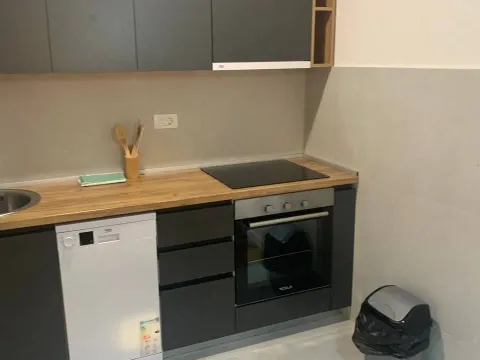 Izdavanje, jednosoban stan, 49m², Central Point, Podgorica - image 6