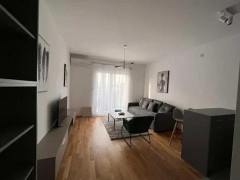 Izdavanje, garsonjera, 32m², Ljubović, Podgorica - image 11