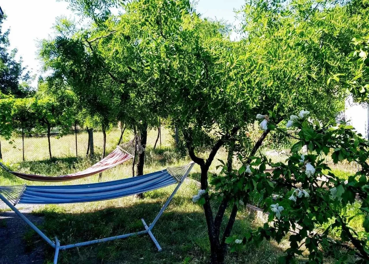 Zeleno dvorište sa ležaljkama i drvećem.