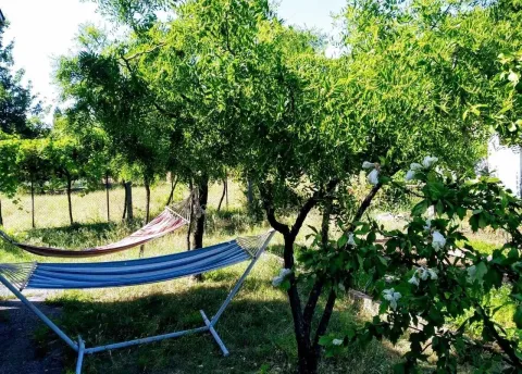 Zeleno dvorište sa ležaljkama i drvećem. - image 8