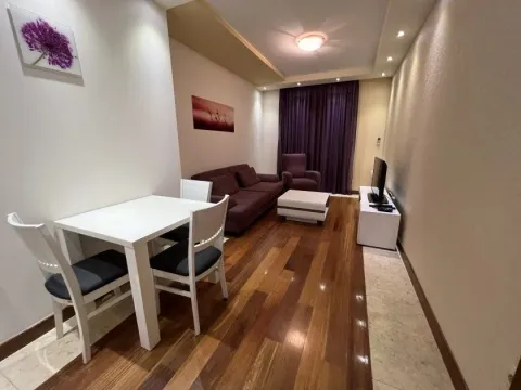 Izdavanje, jednosoban stan, 50m², Centar, Podgorica - image 3