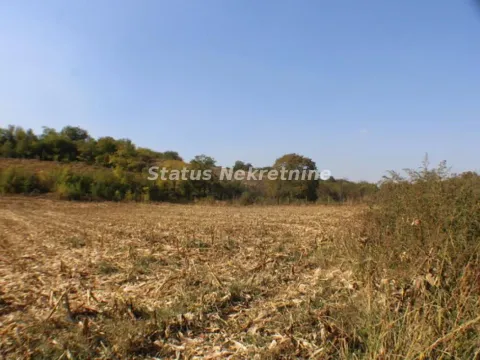 Prodaja, kuća, 97m², Irig, Srbija - image 5